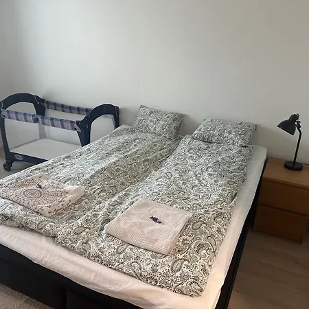 A New Appartment, Four Beds, Free Parking, Pets Are Welcome *