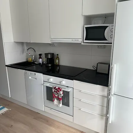 A New Appartment, Four Beds, Free Parking, Pets Are Welcome Oulu