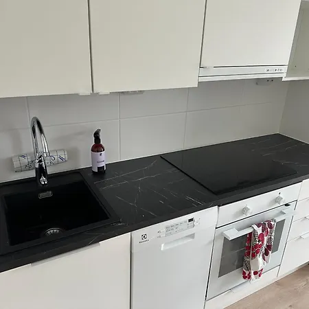 A New Appartment, Four Beds, Free Parking, Pets Are Welcome Apartment